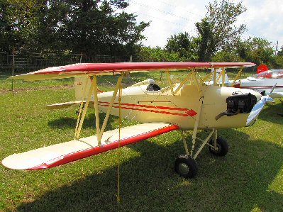RoseParrakeetEXPN111EJA75RNose2REc